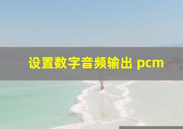 设置数字音频输出 pcm